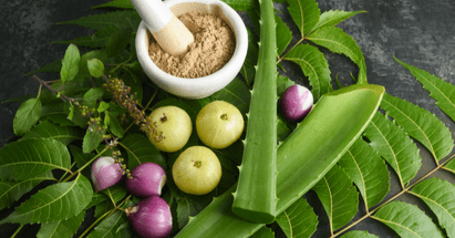 East Meets West: A Guide to Ayurvedic Supplements