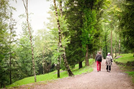 Healthy Living For the Elderly: Eat, Supplement, Exercise