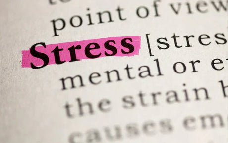 The Ultimate Guide to Supplements for Lowering Cortisol Levels: Your Path to Stress-Free Living