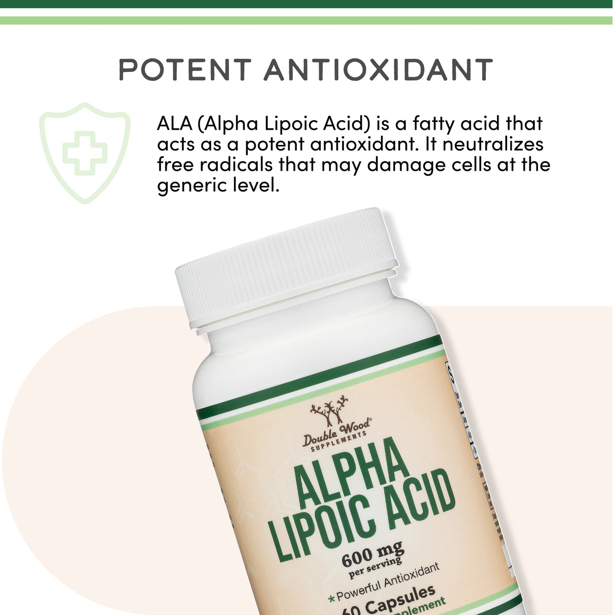Alpha Lipoic Acid Supplement