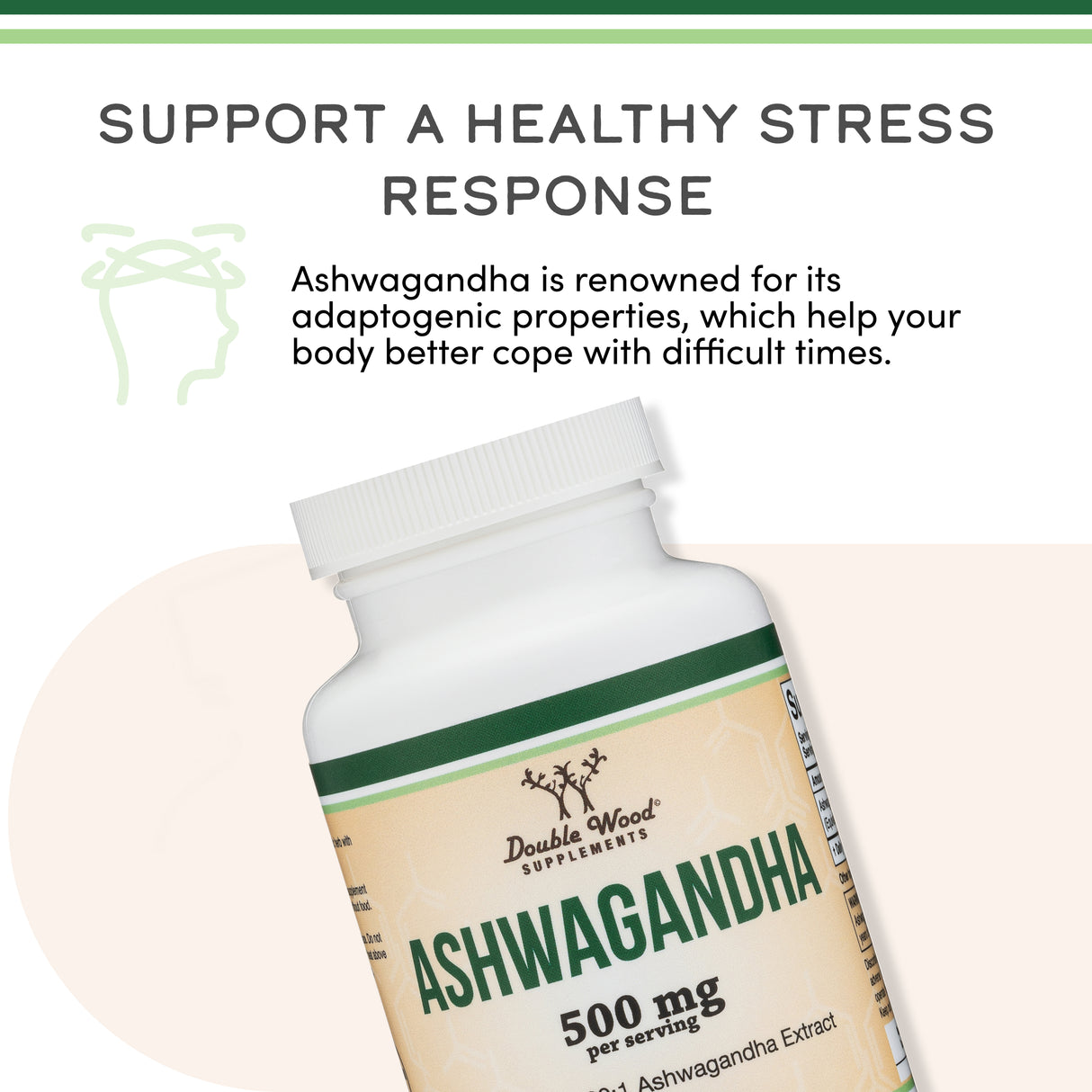 Ashwagandha Supplement
