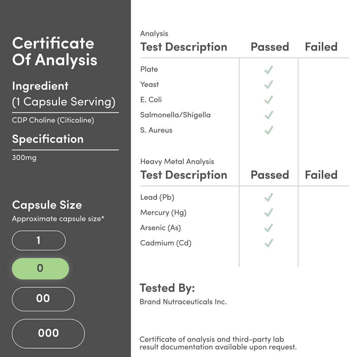 CDP Choline Supplement