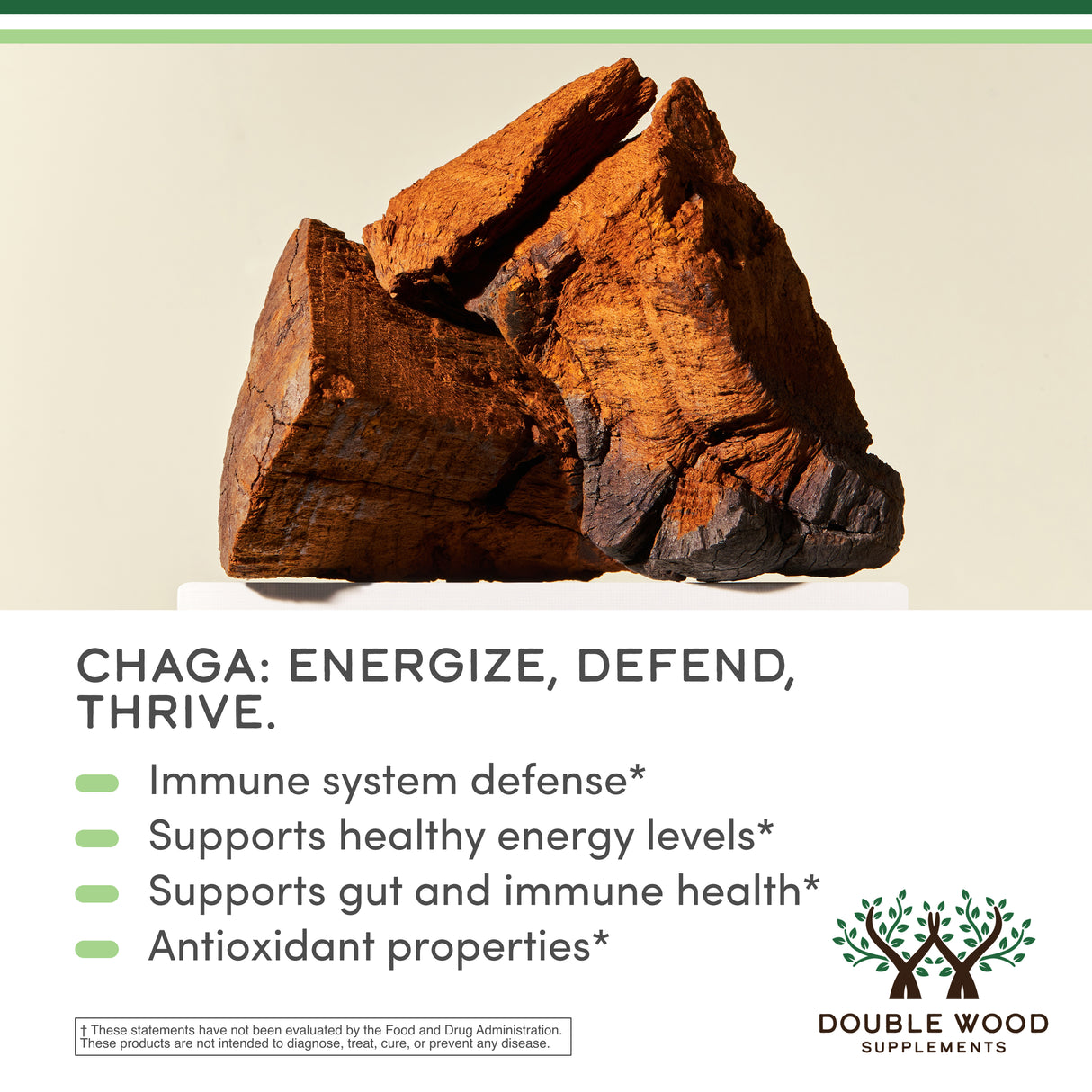 Chaga Mushroom Supplement