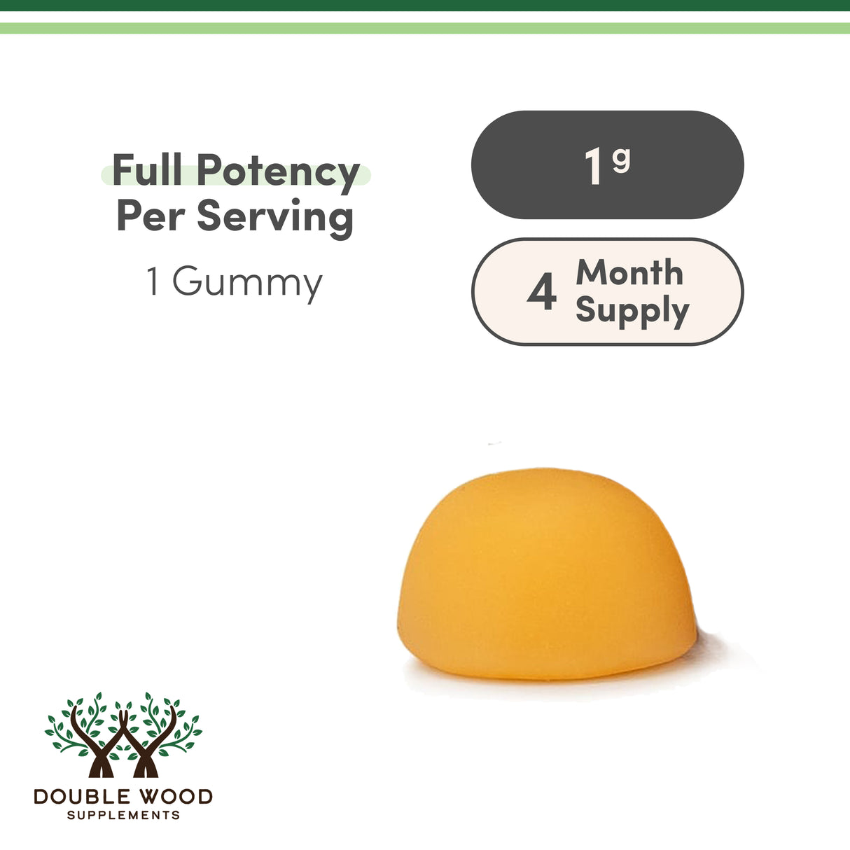 Creatine Gummies Supplement