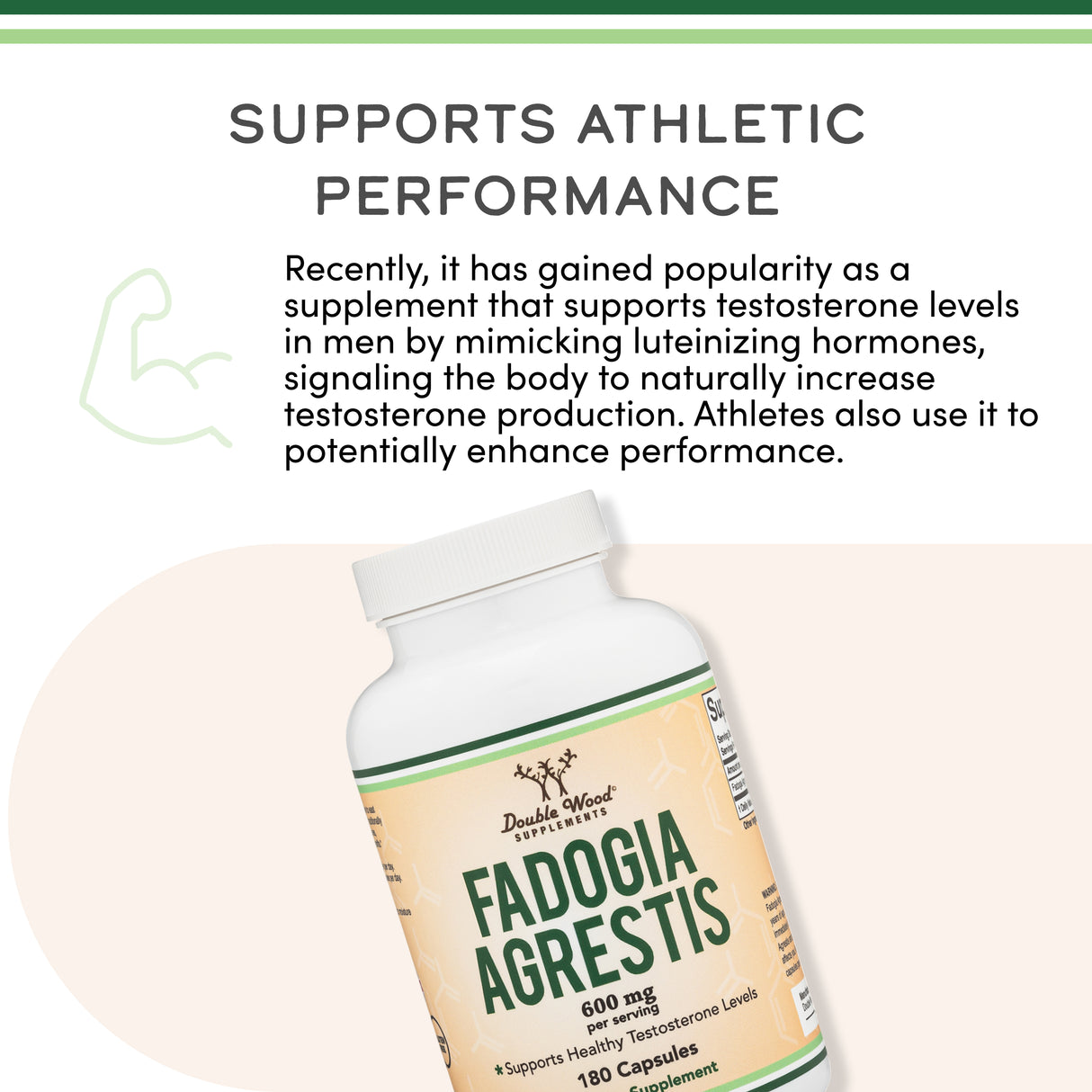 Fadogia Agrestis Supplement
