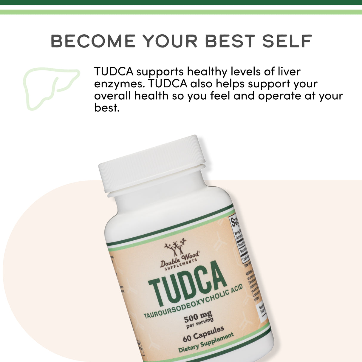 TUDCA Supplement