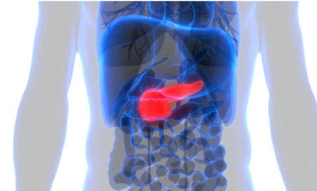 How To Keep Your Liver Functioning At Peak Capacity