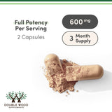 Fadogia Agrestis Supplement