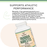 Fadogia Agrestis Supplement