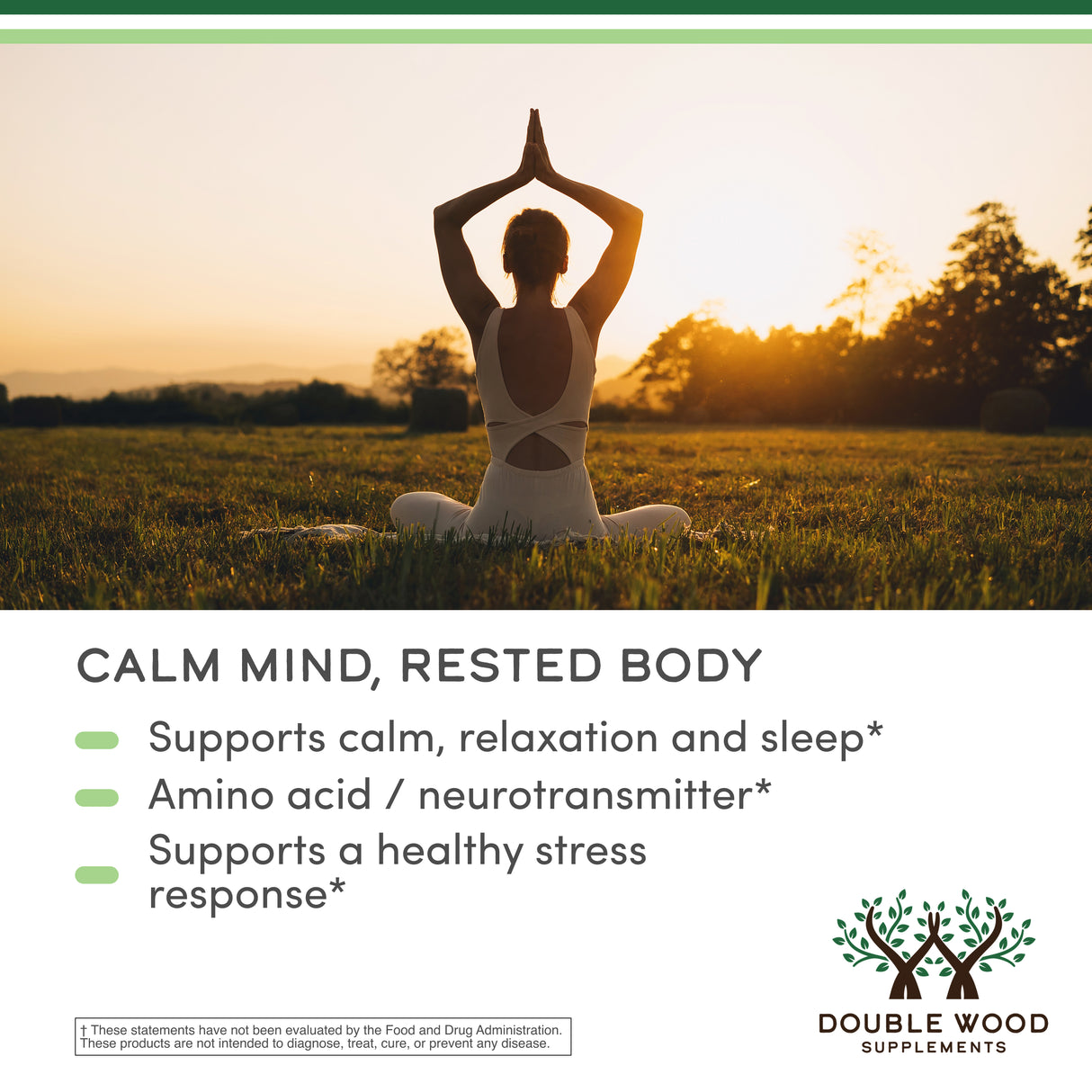 GABA Supplement
