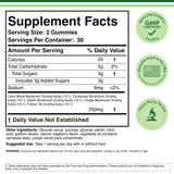 Mushroom Gummies Supplement