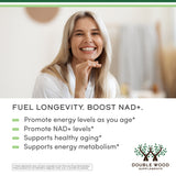 NMN Supplement