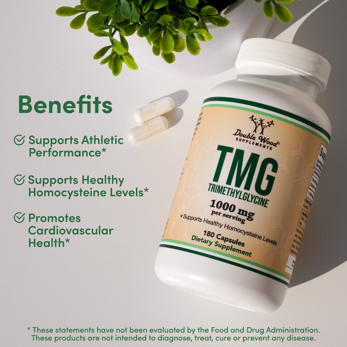 TMG Supplement