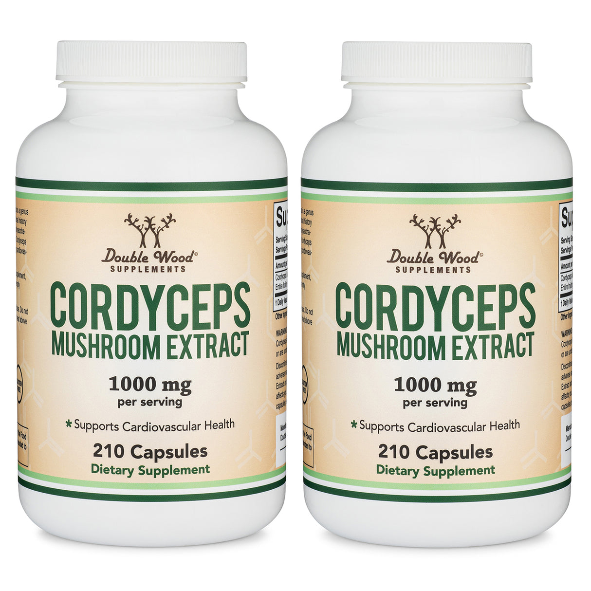 Cordyceps Mushroom Extract Supplement